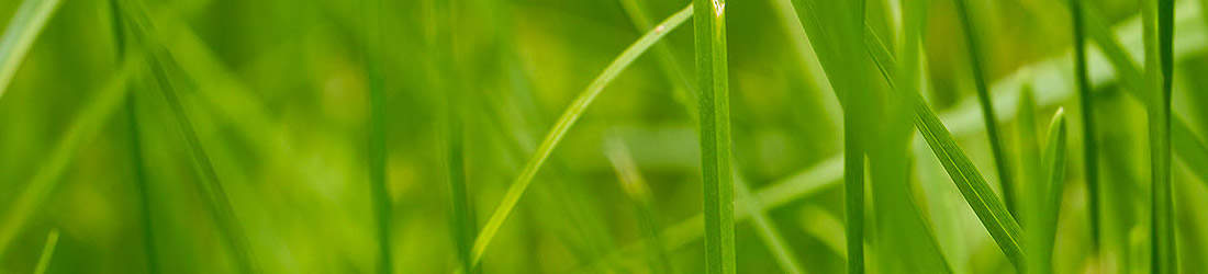 You can be sure each sells generic Prednisolone of the most effective high quality ever and supplies you the outstanding opportunities only an on the internet pharmacy could give.